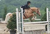  Northbrook Equestrian New Road,Offord Cluny ,St Neots 