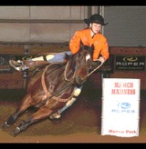  Northbrook Equestrian New Road,Offord Cluny ,St Neots 