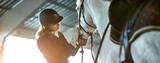  Northbrook Equestrian New Road,Offord Cluny ,St Neots 
