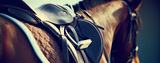 Northbrook Equestrian, St Neots