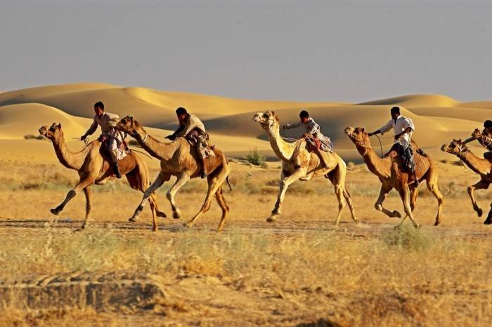  Profile Photos of Tour Packages Rajasthan B-11-12, Opp. Zanana Hospital, 1st Floor, Station Road - Photo 1 of 15