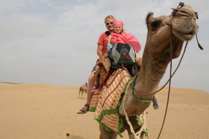  Profile Photos of Tour Packages Rajasthan B-11-12, Opp. Zanana Hospital, 1st Floor, Station Road - Photo 4 of 15