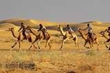  Tour Packages Rajasthan B-11-12, Opp. Zanana Hospital, 1st Floor, Station Road 