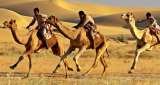  Tour Packages Rajasthan B-11-12, Opp. Zanana Hospital, 1st Floor, Station Road 