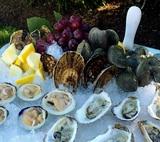 New England Clam Jams Catering, Westport