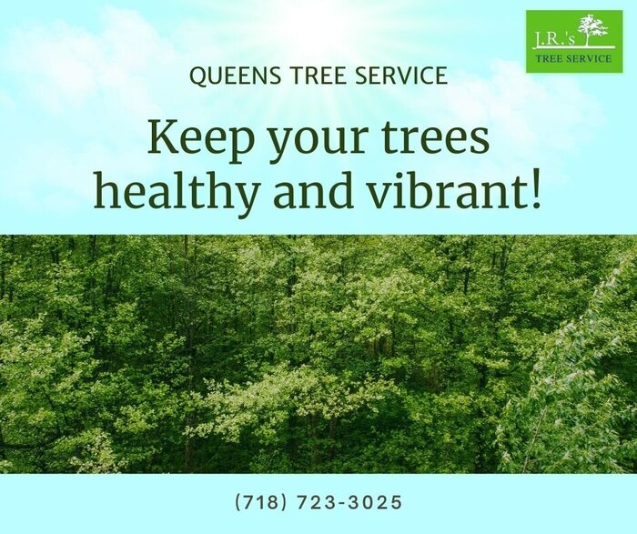 From removing trees to stump grinding, the tree experts from JRs Tree Service got you covered! Keep your trees healthy and vibrant. https://queenstreeservice.blogspot.com Queens Tree Service of JRs Tree Service 131-64 Hook Creek Blvd - Photo 1 of 16 From removing trees to stump grinding, the tree experts from JRs Tree Service got you covered! Keep your trees healthy and vibrant. https://queenstreeservice.blogspot.com Queens Tree Service of JRs Tree Service 131-64 Hook Creek Blvd - Photo 1 of 16