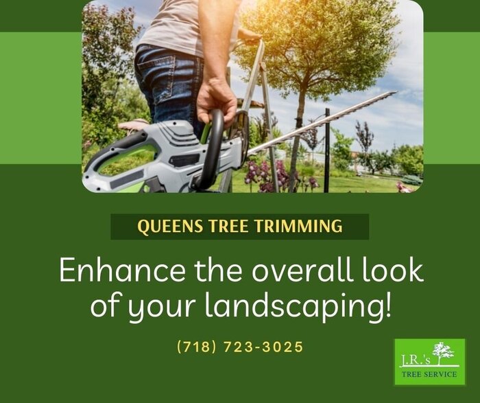 Enhance the overall look of your landscaping. Trees that are not regularly trimmed could result in different types of damage and disease. Damaged, dead or diseased branches need to be trimmed to avoid these problems! https://jrstreeserviceblog.wordpress. Queens Tree Service of JRs Tree Service 131-64 Hook Creek Blvd - Photo 2 of 16 Enhance the overall look of your landscaping. Trees that are not regularly trimmed could result in different types of damage and disease. Damaged, dead or diseased branches need to be trimmed to avoid these problems! https://jrstreeserviceblog.wordpress. Queens Tree Service of JRs Tree Service 131-64 Hook Creek Blvd - Photo 2 of 16