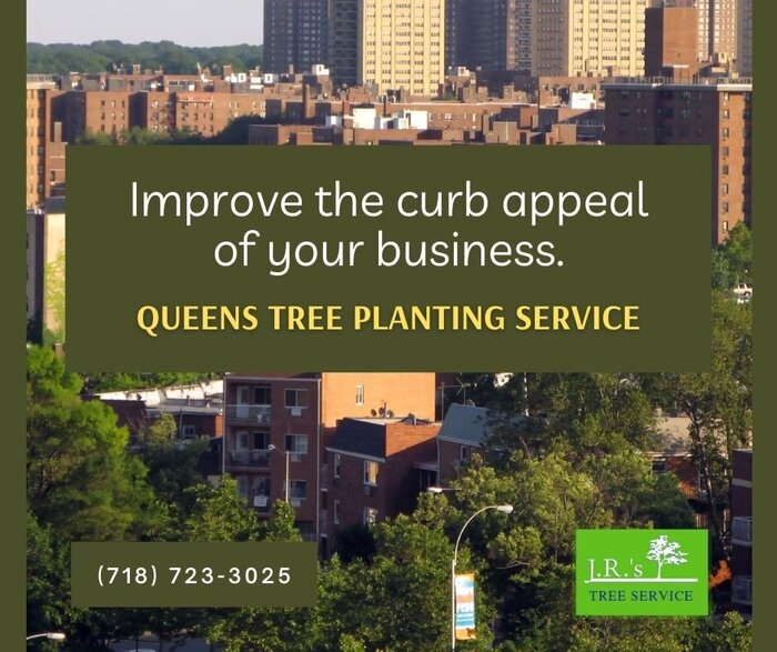 Keeping your curb appeal will help convey more people to your business and keep your landscaping looking professional and attractive.  https://queenstreeremovalblog.wordpress.com Queens Tree Service of JRs Tree Service 131-64 Hook Creek Blvd - Photo 3 of 16