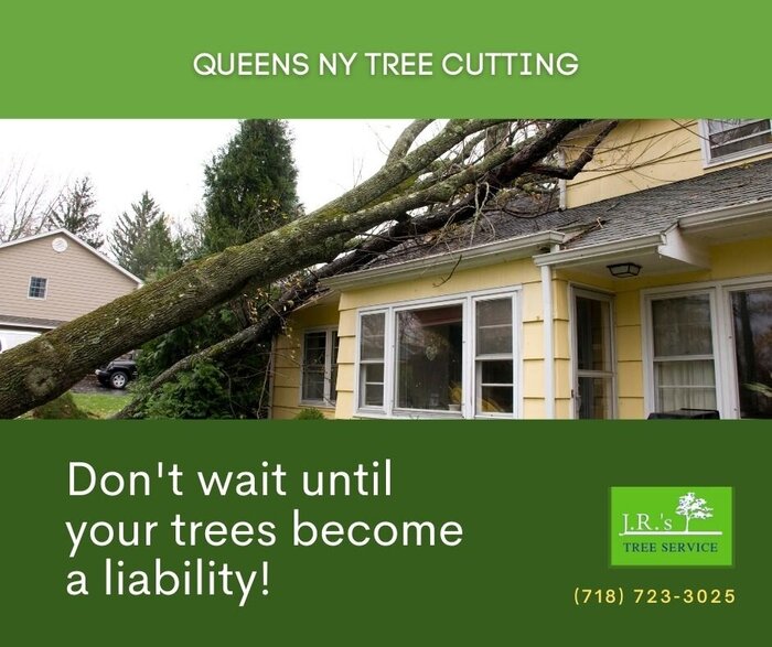  Queens Tree Service of JRs Tree Service 131-64 Hook Creek Blvd - Photo 4 of 16