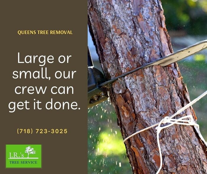  Queens Tree Service of JRs Tree Service 131-64 Hook Creek Blvd - Photo 6 of 16