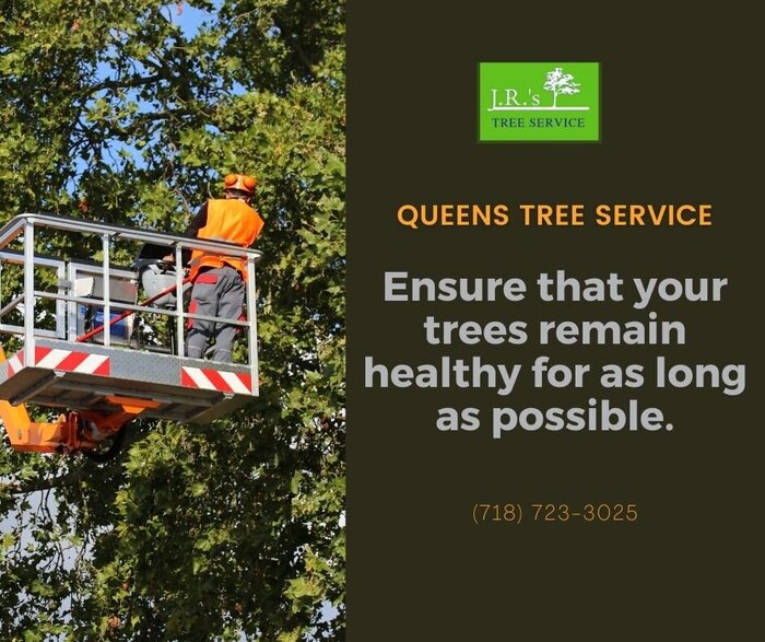 Queens Tree Service of JRs Tree Service 131-64 Hook Creek Blvd - Photo 9 of 16