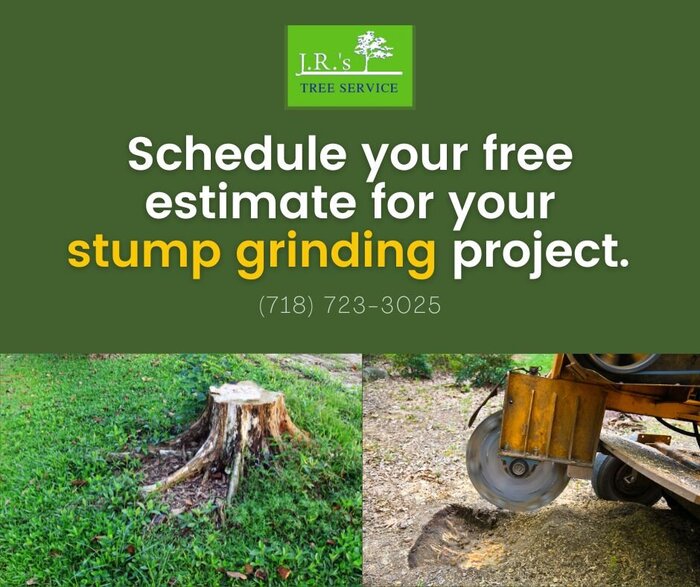 Schedule your free estimate for your stump grinding project. https://www.google.com/maps?cid=15019104034999908654<br />
Queens Tree Service of JRs Tree Service 131-64 Hook Creek Blvd - Photo 13 of 16 Schedule your free estimate for your stump grinding project. https://www.google.com/maps?cid=15019104034999908654<br />
Queens Tree Service of JRs Tree Service 131-64 Hook Creek Blvd - Photo 13 of 16