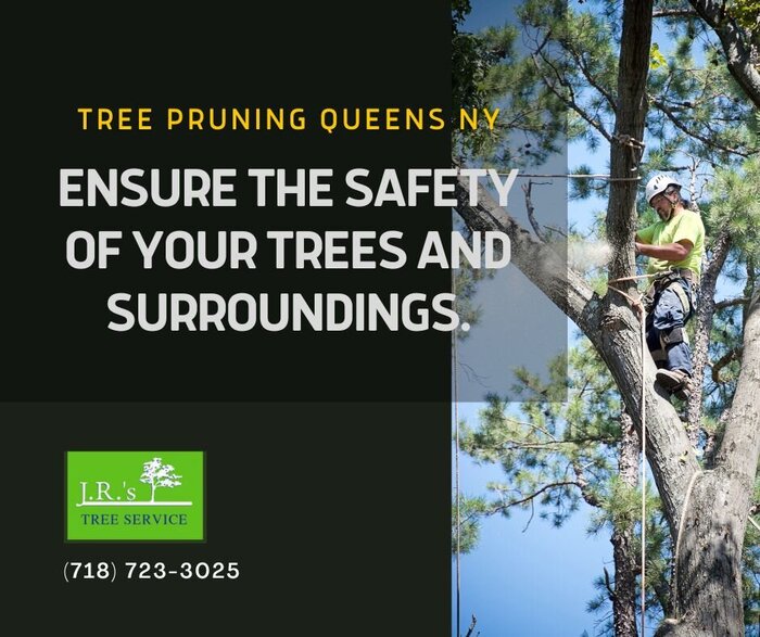  Queens Tree Service of JRs Tree Service 131-64 Hook Creek Blvd - Photo 14 of 16