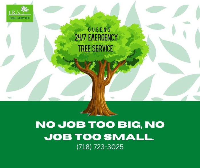  Queens Tree Service of JRs Tree Service 131-64 Hook Creek Blvd - Photo 15 of 16