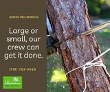  JRs Tree Service 131-64 Hook Creek Blvd 