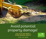 Need to get rid of an eyesore! If there are any stumps in your way, youâ€™ll need stump removal services from Queens Tree Service. https://www.pinterest.com/jrstreecare JRs Tree Service 131-64 Hook Creek Blvd 