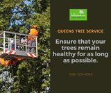  JRs Tree Service 131-64 Hook Creek Blvd 