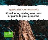 Queens Tree Planting Service - Considering adding new trees or plants to your property?  https://www.google.com/maps?cid=15019104034999908654<br />
 JRs Tree Service 131-64 Hook Creek Blvd 