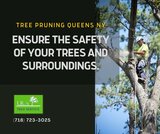 JRs Tree Service, Queens