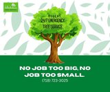 JRs Tree Service, Queens