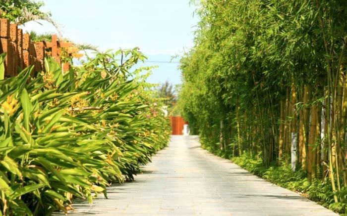 Profile Photos of Fusion Maia resort Danang Truong Sa - Photo 12 of 63