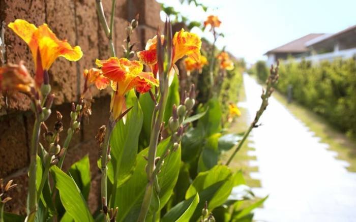  Profile Photos of Fusion Maia resort Danang Truong Sa - Photo 13 of 63
