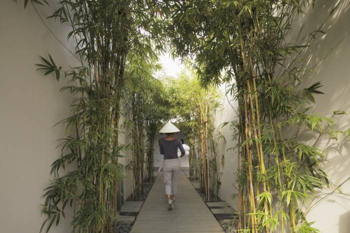  Profile Photos of Fusion Maia resort Danang Truong Sa - Photo 18 of 63