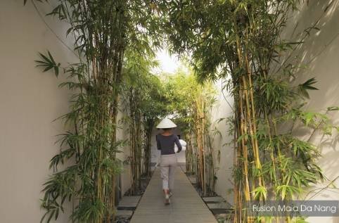  Profile Photos of Fusion Maia resort Danang Truong Sa - Photo 36 of 63
