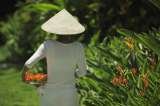  Fusion Maia resort Danang Truong Sa 