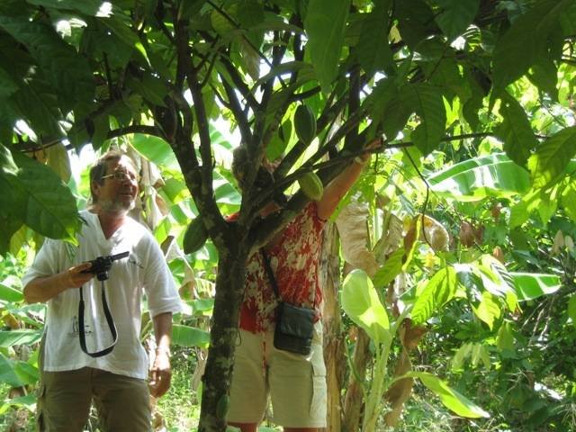  MYTHO - BEN TRE (Mekong Delta) of PD TOURISM & TRADING CO., LTD. 516 Nguyen Chi Thanh st., - Photo 2 of 45