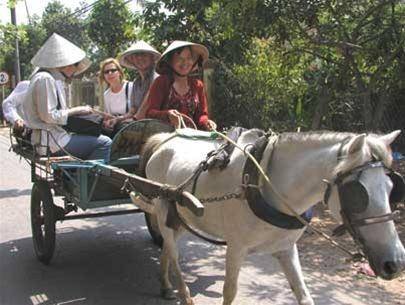 Horse ride for visiting the Village MYTHO - BEN TRE (Mekong Delta) of PD TOURISM & TRADING CO., LTD. 516 Nguyen Chi Thanh st., - Photo 14 of 45