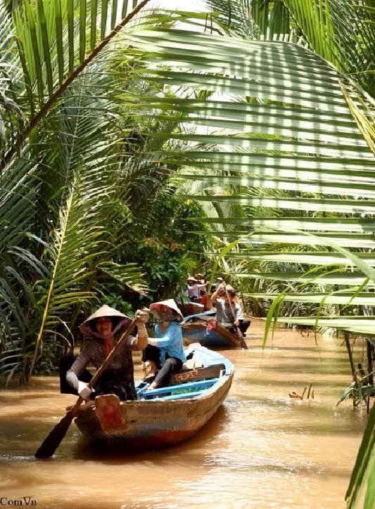 Explore natural canals by rowing boat... MYTHO - BEN TRE (Mekong Delta) of PD TOURISM & TRADING CO., LTD. 516 Nguyen Chi Thanh st., - Photo 20 of 45