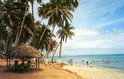  (Inbound Tour) PHAN THIET - MUI NE BEACH of PD TOURISM & TRADING CO., LTD. 516 Nguyen Chi Thanh st., - Photo 13 of 13