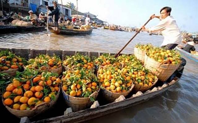  MEKONG DELTA & FLOATING MARKETS of PD TOURISM & TRADING CO., LTD. 516 Nguyen Chi Thanh st., - Photo 25 of 30