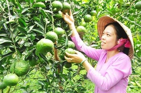  MEKONG DELTA & FLOATING MARKETS of PD TOURISM & TRADING CO., LTD. 516 Nguyen Chi Thanh st., - Photo 5 of 30