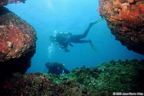 Snorkeling to see coral NHA TRANG white-sand Beach of PD TOURISM & TRADING CO., LTD. 516 Nguyen Chi Thanh st., - Photo 3 of 6