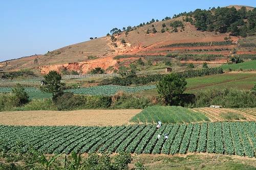  DALAT - City of Love! of PD TOURISM & TRADING CO., LTD. 516 Nguyen Chi Thanh st., - Photo 4 of 12