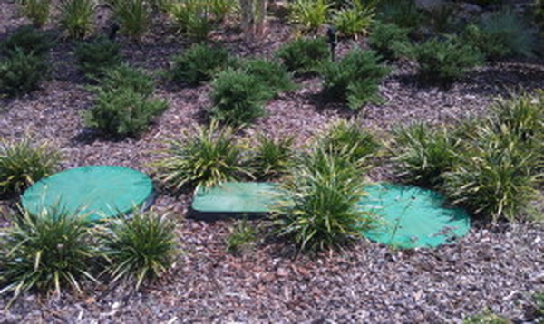  Profile Photos of Southern Water and Soil 38122 12th Ave - Photo 6 of 10