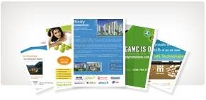  Profile Photos of SEO Company India - Alliance SEO Services D-190, Sector - 10 - Photo 9 of 10