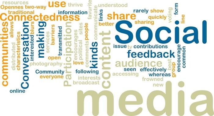 Profile Photos of SEO Company India - Alliance SEO Services D-190, Sector - 10 - Photo 4 of 10