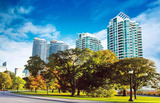 Jaypee Wish Town Noida, Noida