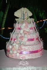  Elegant Weddings Frazer Town 
