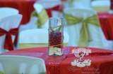  Elegant Weddings Frazer Town 