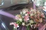  Elegant Weddings Frazer Town 