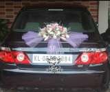  Elegant Weddings Frazer Town 