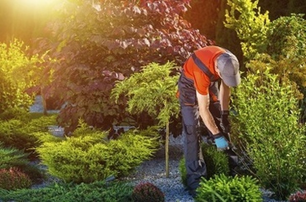  Profile Photos of Portland Landscaping Service 818 SW 3rd Ave #161 - Photo 1 of 3