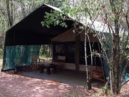  Profile Photos of Absolute Nature Safaris 1630 - Photo 1 of 12