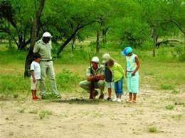  Profile Photos of Absolute Nature Safaris 1630 - Photo 3 of 12