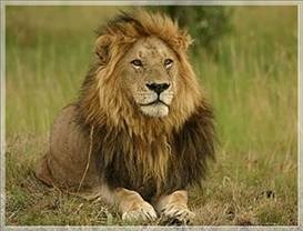  Profile Photos of Absolute Nature Safaris 1630 - Photo 6 of 12