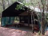  Absolute Nature Safaris 1630 